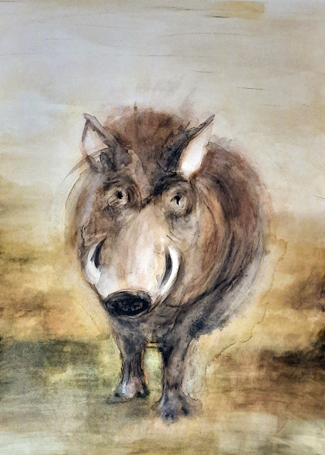 Sylvia Gnatz: Das Warzenschwein