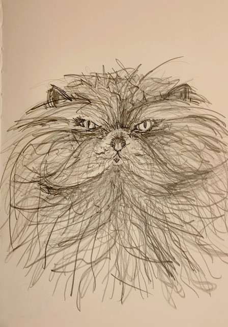 Sylvia Gnatz: Die Katze