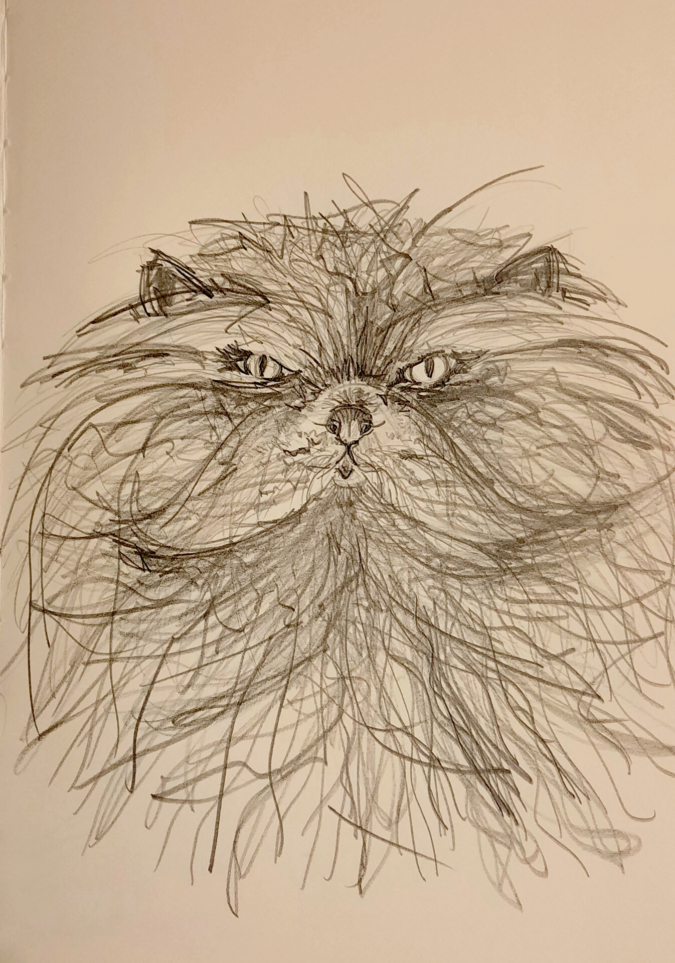 Sylvia Gnatz: Die Katze