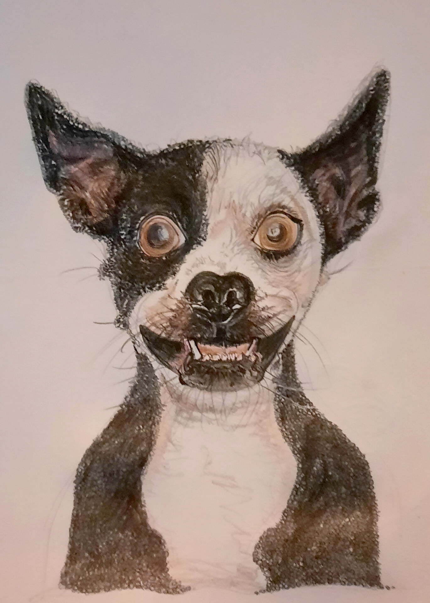 Sylvia Gnatz: Der Hund